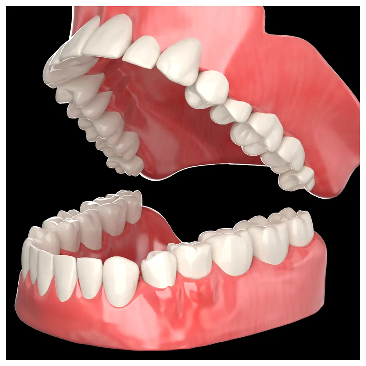 Dental Model Model Dental Prosthetics Diagnostics Practice Exerciser Universal