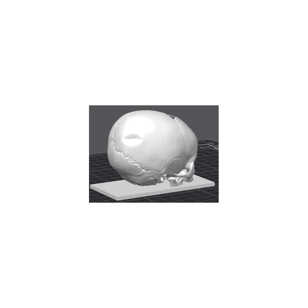 Skull Baby Parts Repair Universal Accessories Replacement Maintenance Tools Aftermarket Service