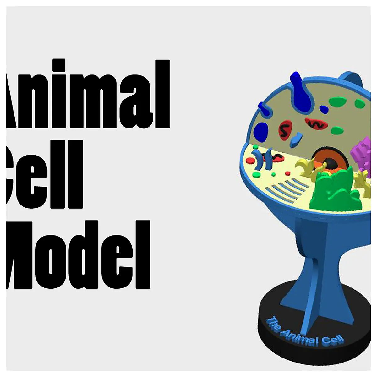 Animal Cell Structure Study Cell Components Cell Types Cell Membrane Research Cell Biology