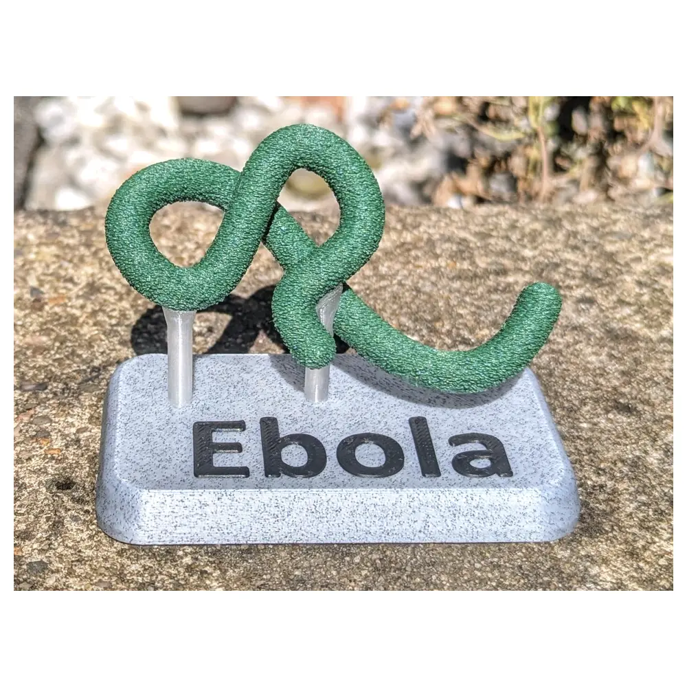 Ebola Symptoms Treatment Prevention Diagnosis Vaccine Global Outbreak