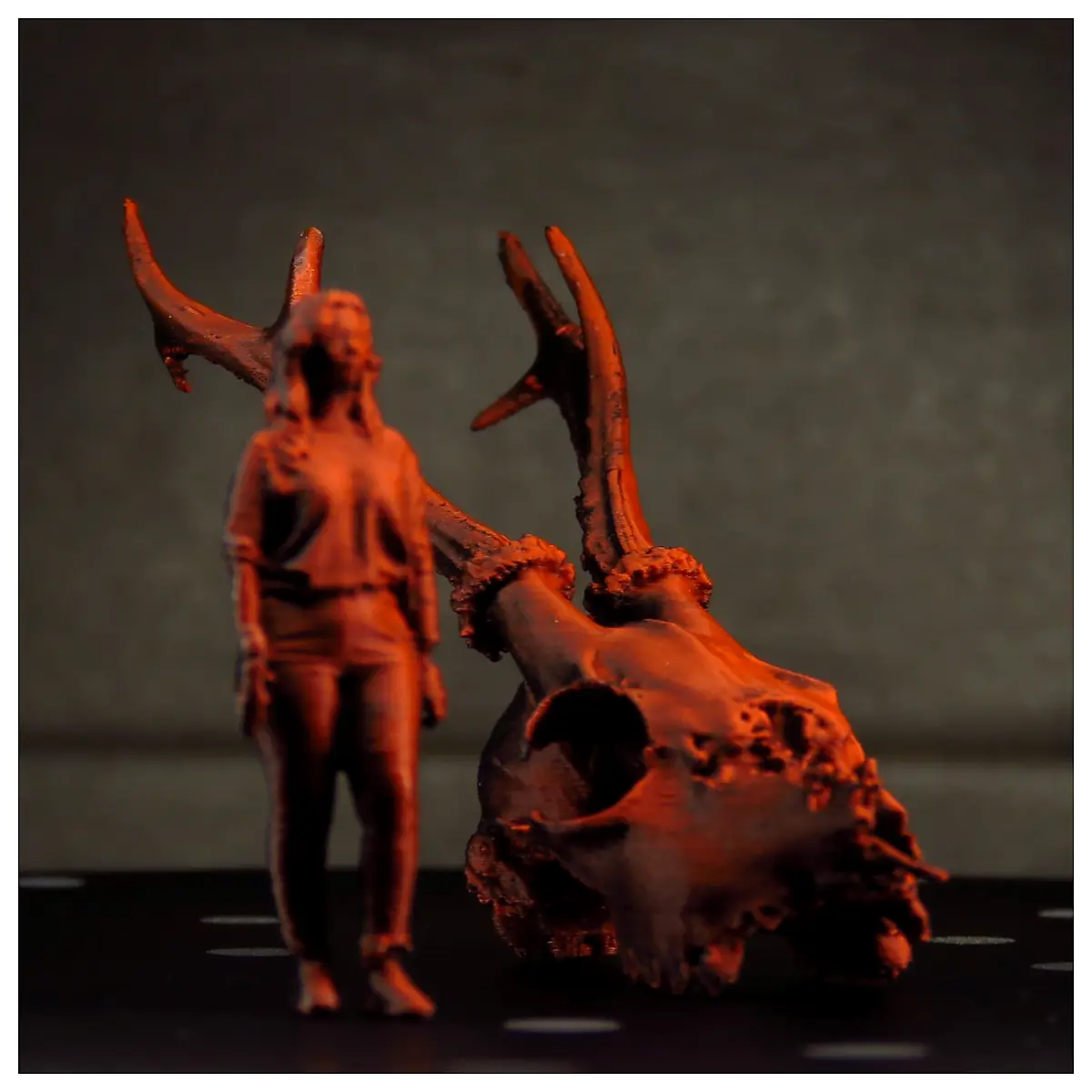 Deer Skull Scan Bone Animal Skeleton Bone Collection Bone Research Skull Display