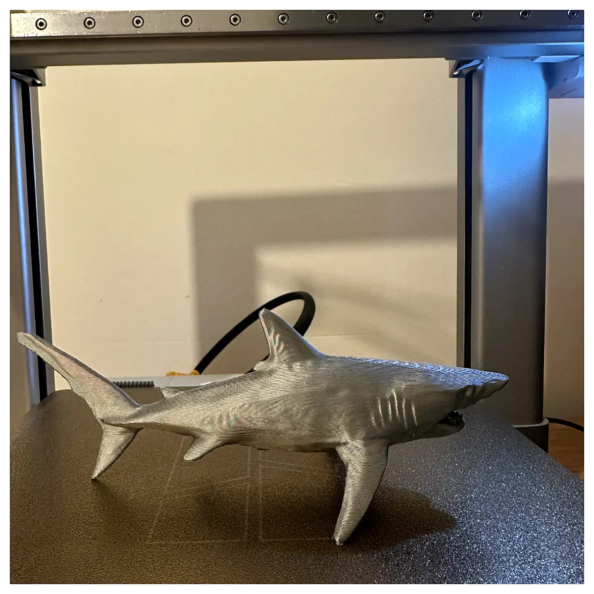 Great White Shark Diving Gear Underwater Camera Marine Sports Shark Observation Shark Diving Dive Accessories