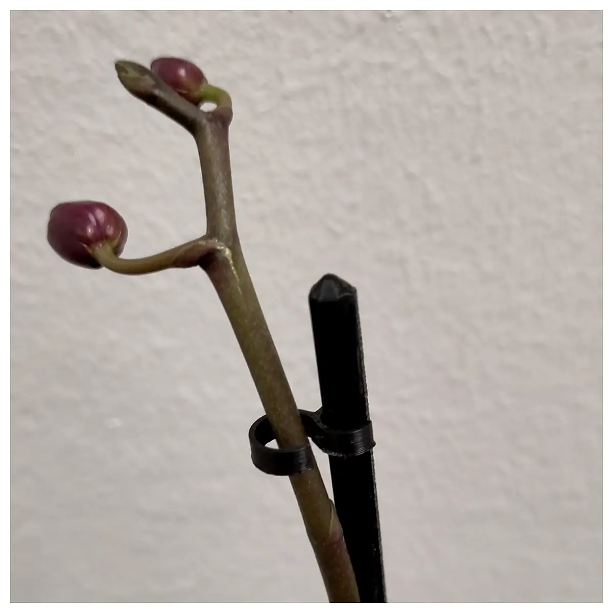 Orchid Stakes Clips 360mm Orchid Support Clips Floral Clips Plant Clips Universal Clips Flower Support Accessories Gardening Supplies