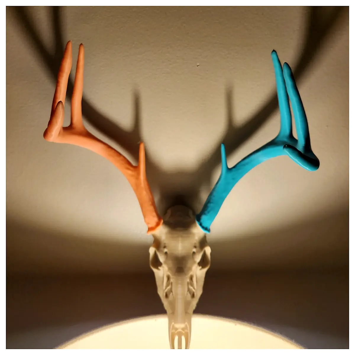 Deer Skull Decor Large Skull Animal Head Hunting Trophy Collection Replacement Parts Repair Universal Accessory
