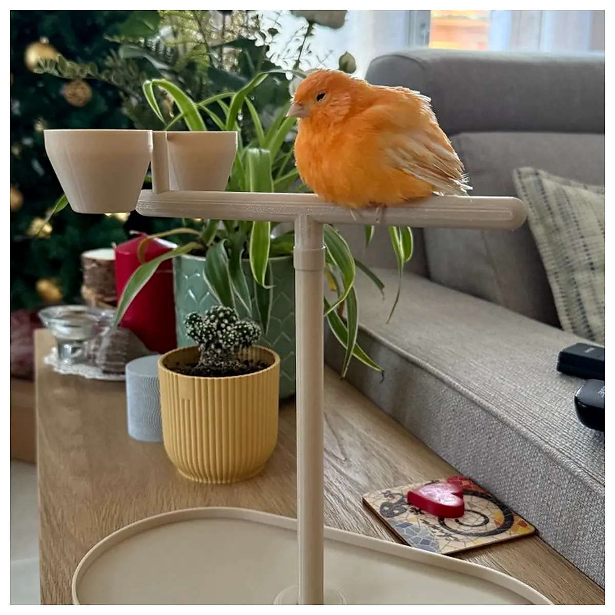 Bird Perch Stand Bowls Elevated Platform Pet Resting Station Bird Food Bowls Accessories