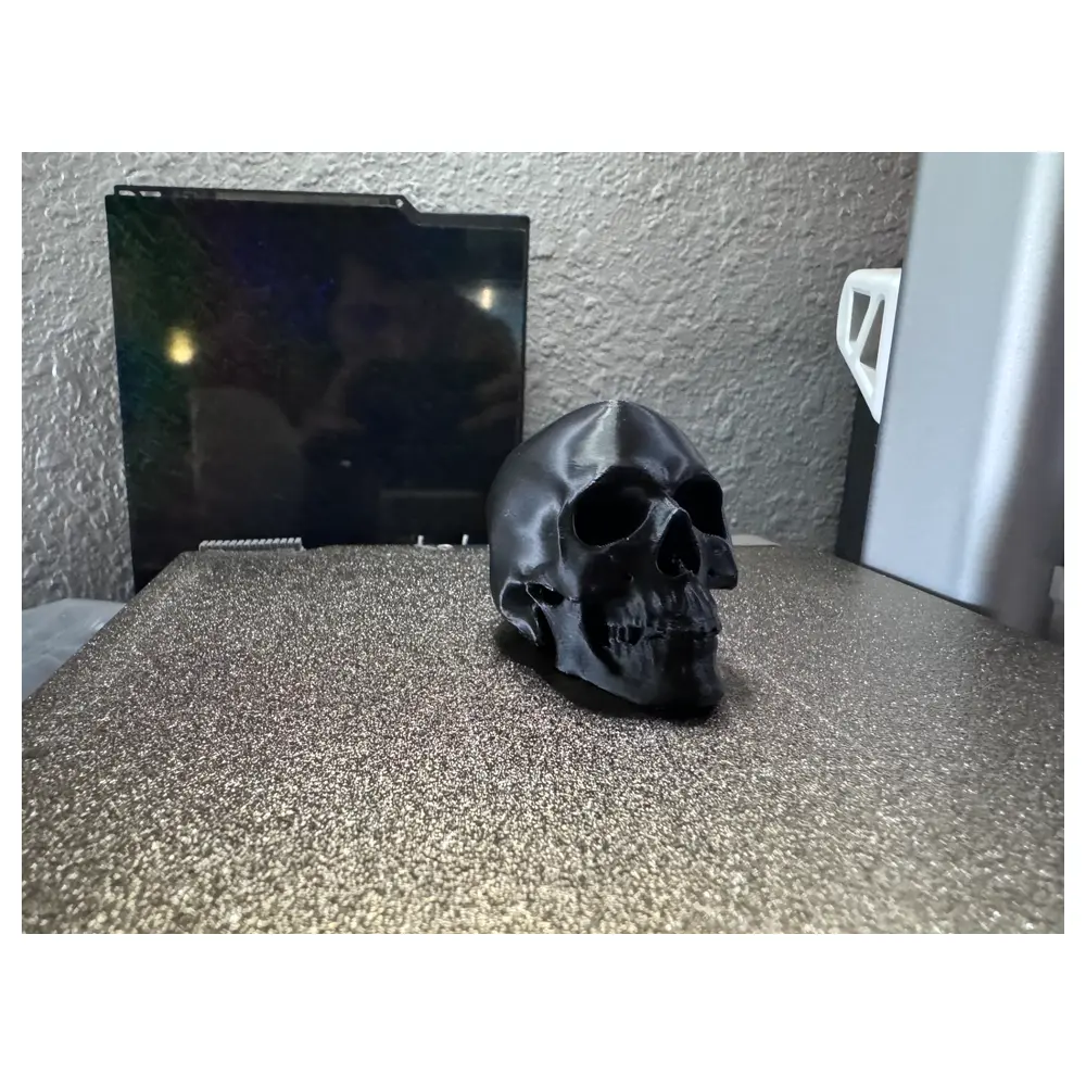 Human Skull Model Anatomy Model Teaching Model Scientific Model Lab Supplies Skeletal Research