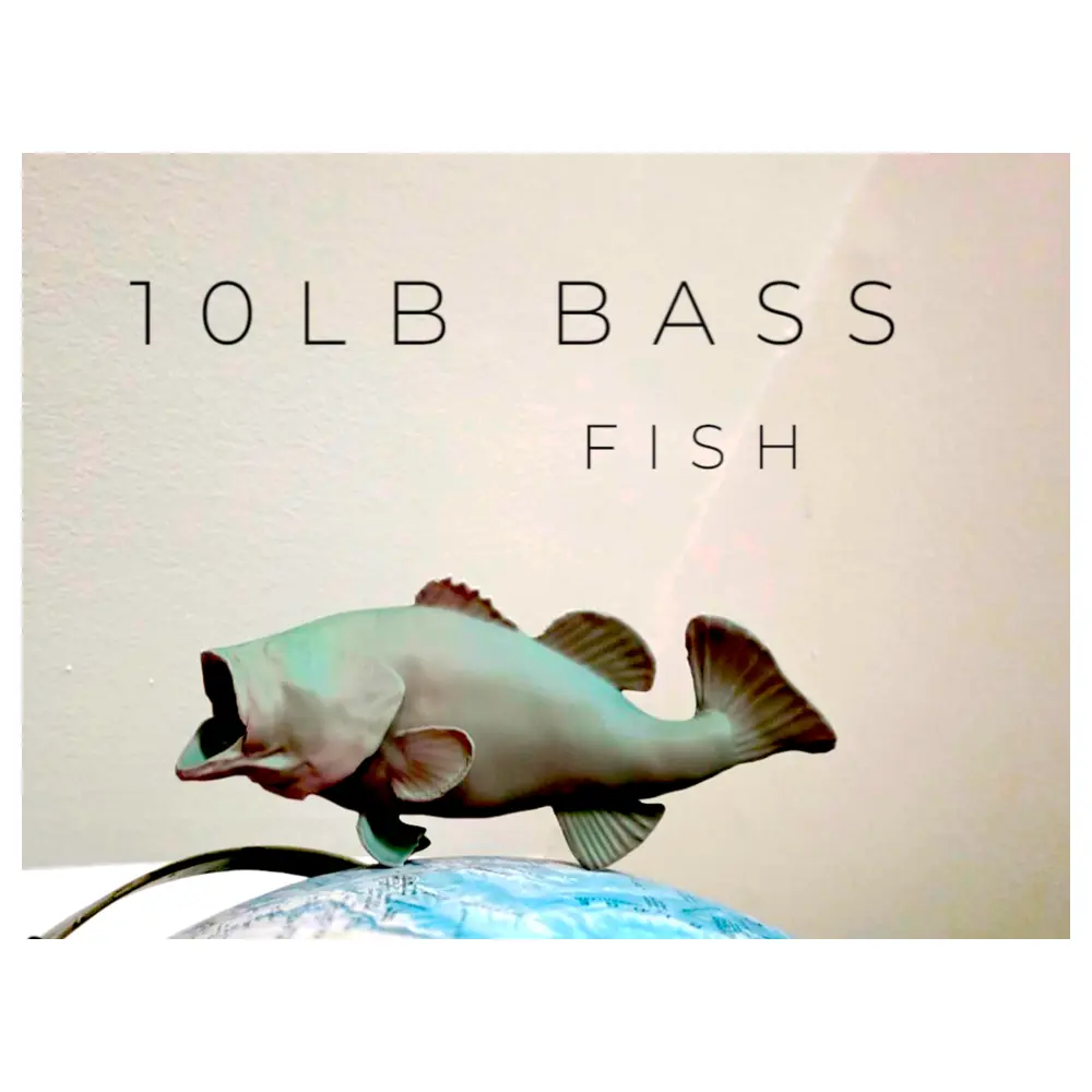 Fishing Gear Tackle Rods Reels Hooks Baits Line Fishing Accessories Repair Replacement 10lb