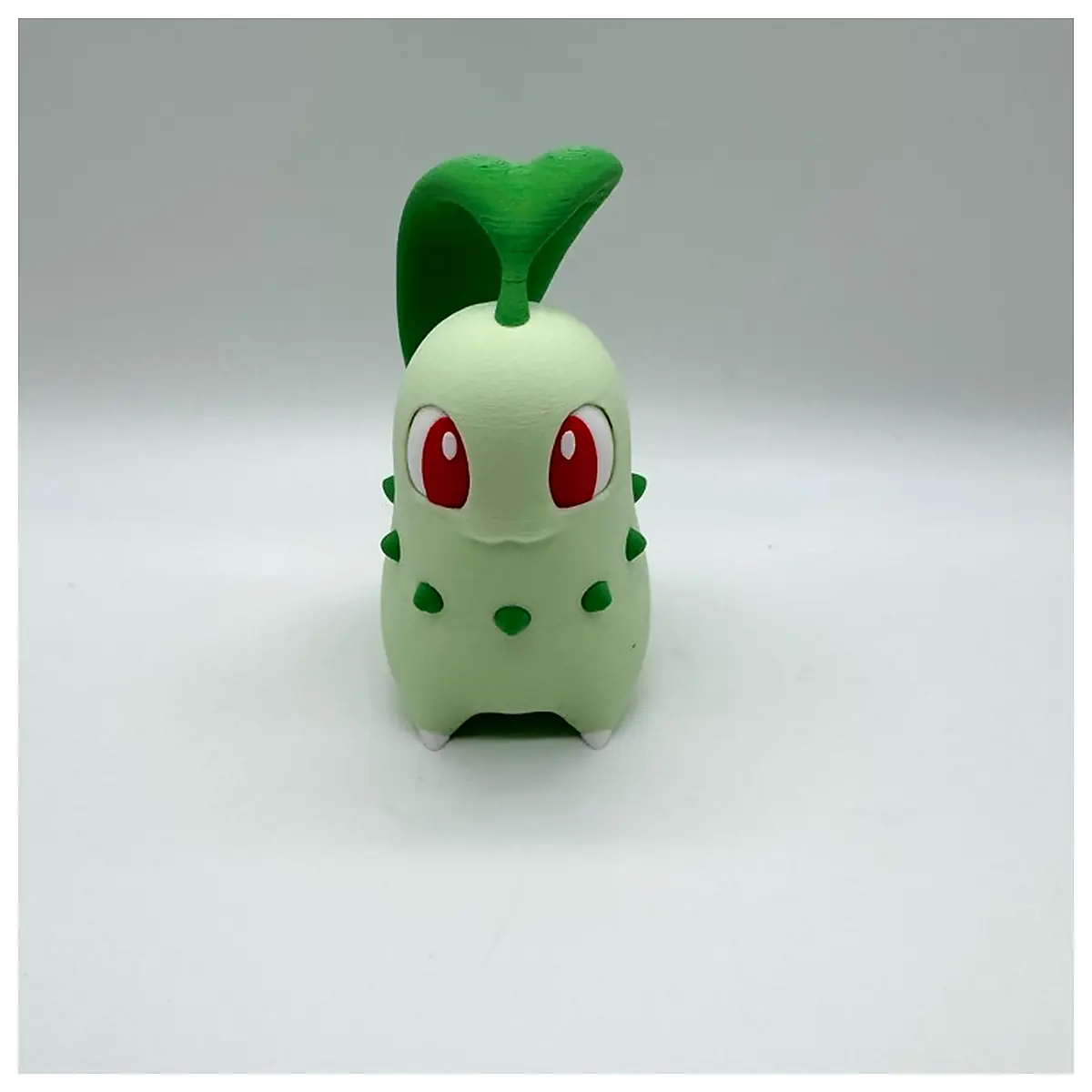 Chikorita Multicolor Vibrant Plant Care Pot Plants Indoor Plants Growing Pruning House Plants