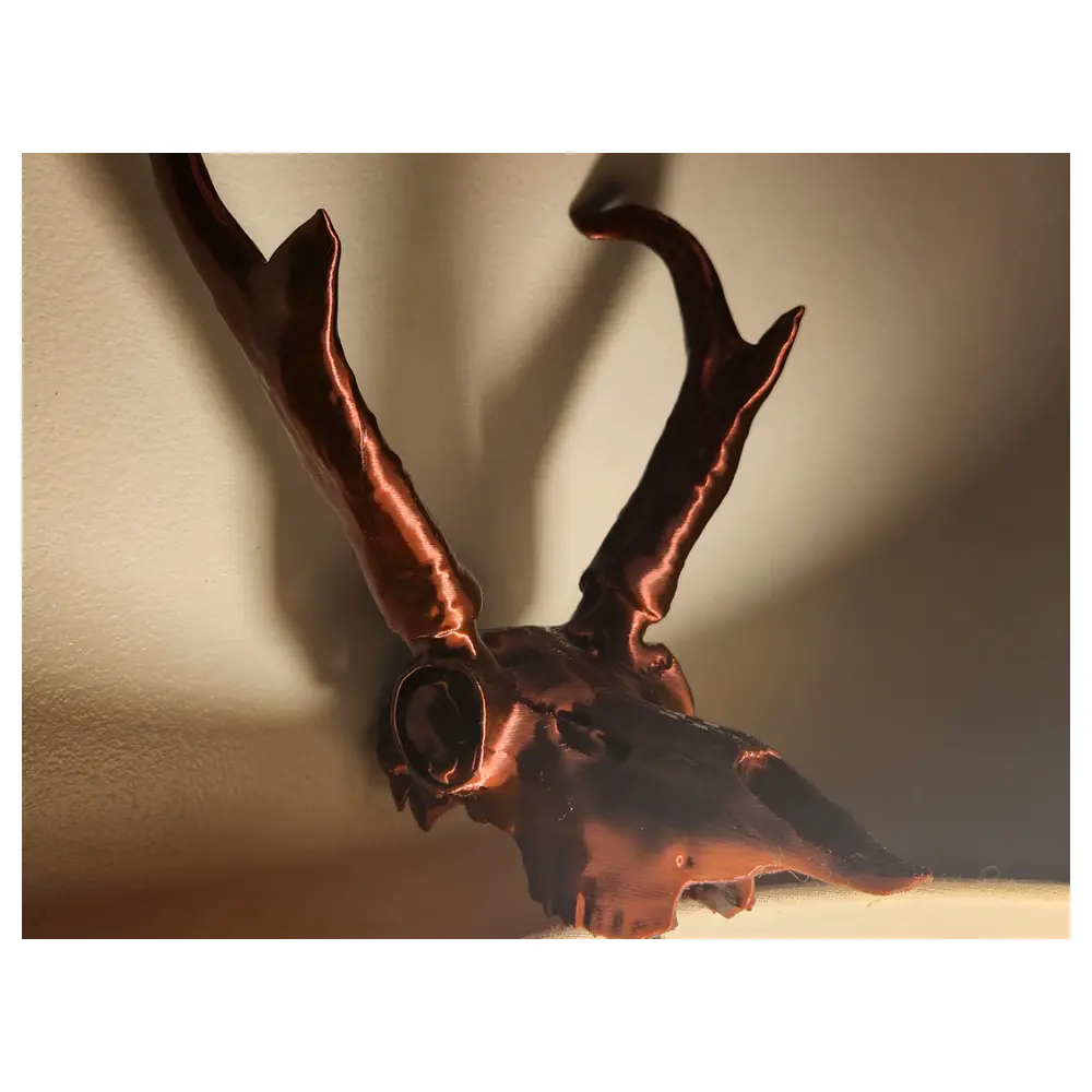 Pronghorn Skull Antler Skull Collector Bone Specimen Hunting Skull Parts Bone Sale