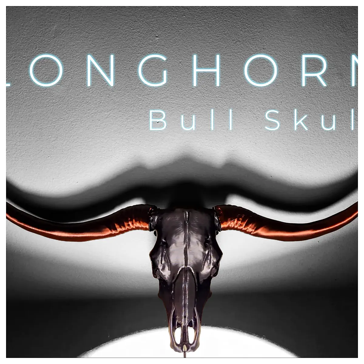 Longhorn Bull Skull Decor Skull Art Restoration Collection Trophy Head Bone Horns
