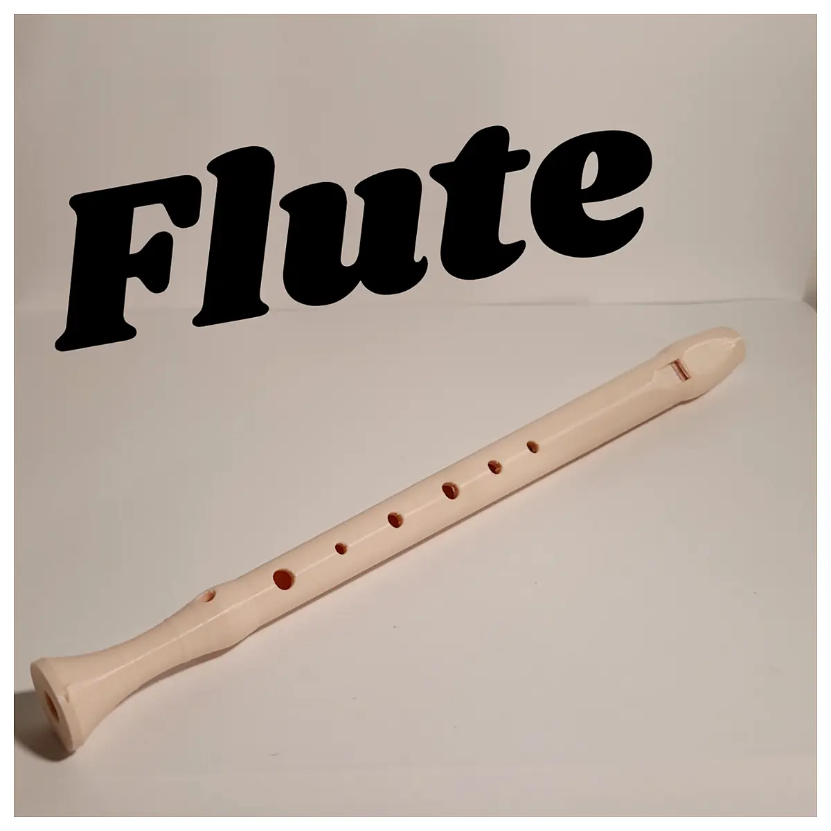 Flute Music Instrument Play Learn Practice Tune Universal Parts Repair