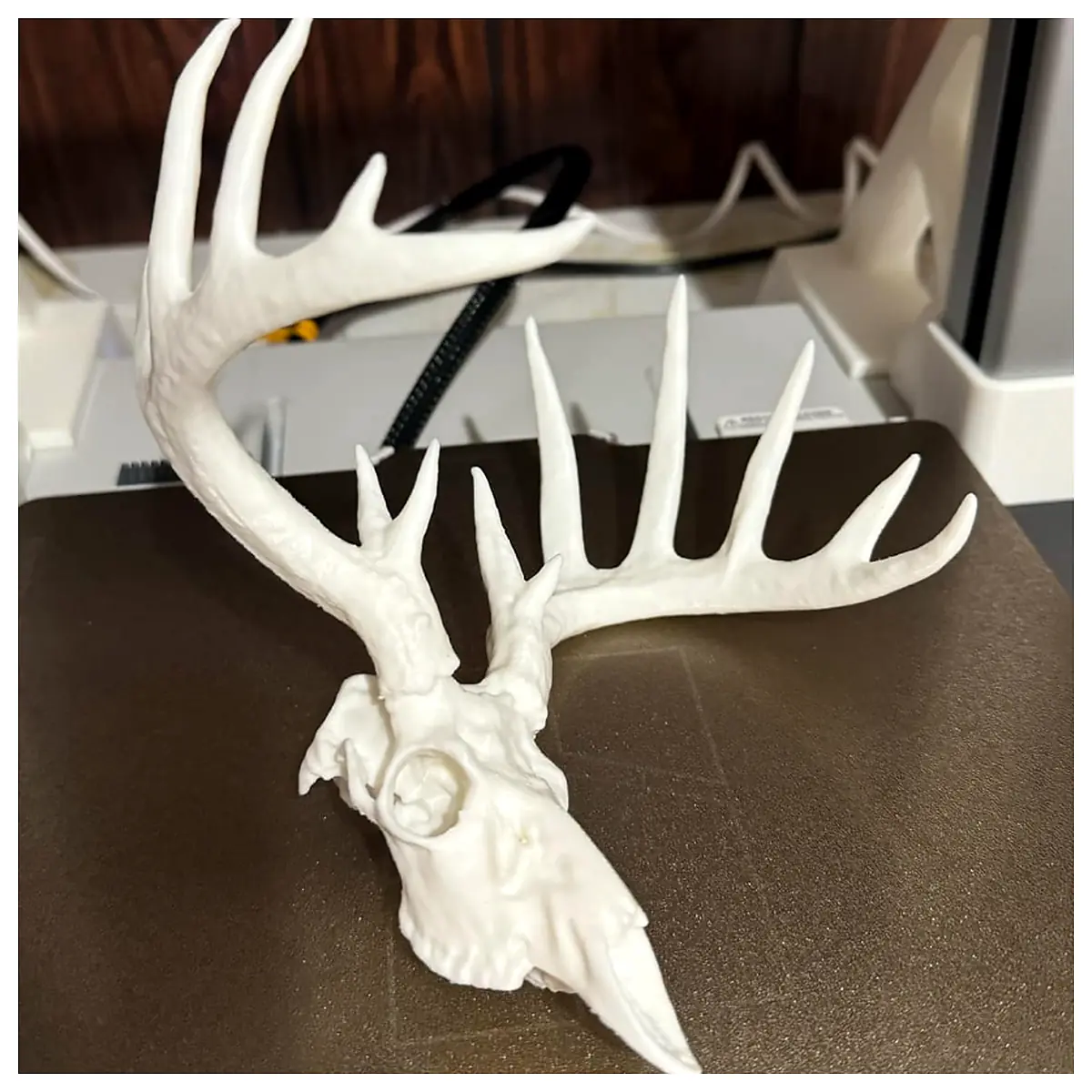 Deer Skull Decor Hunting Trophy Skull Skull Mount Skeleton Parts Repair Fix