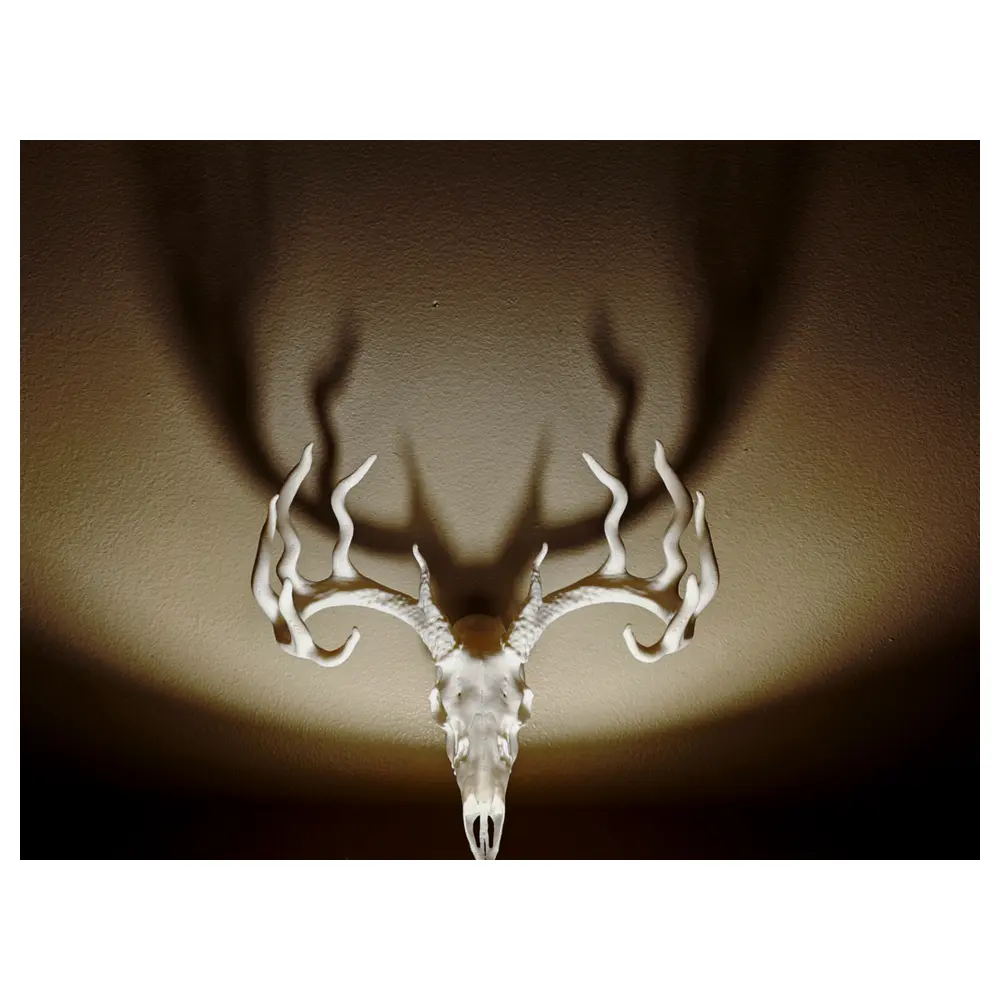 Deer Skull Decor Hunting Trophy Skull Skeleton Art Repair Parts Skull Head Bone Collector