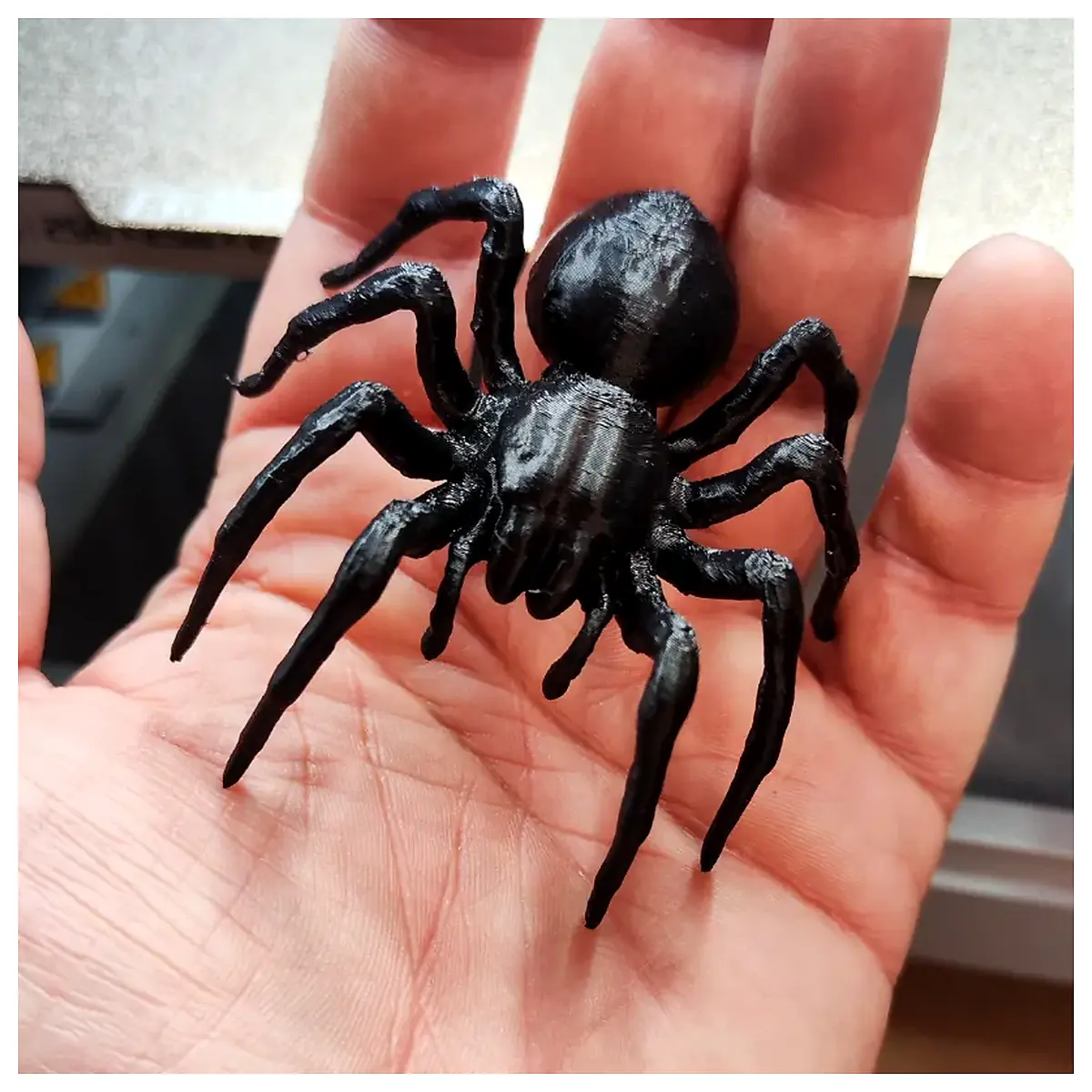 Realistic Tarantula Model Spider Toy Pet Decoration Authentic Detailed Lifelike