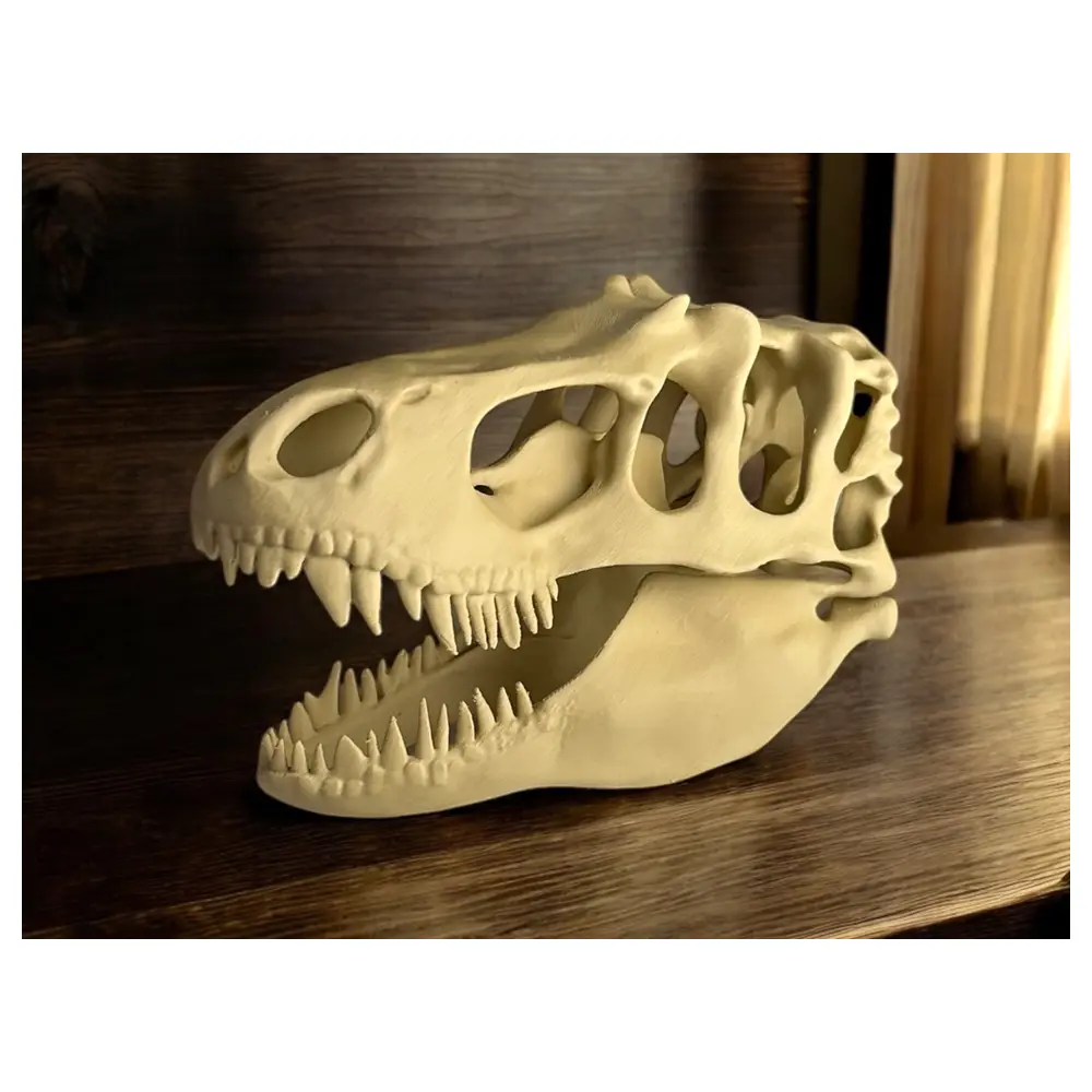 T Rex Skull Model Dinosaur Display Art Collection Realistic Jurassic