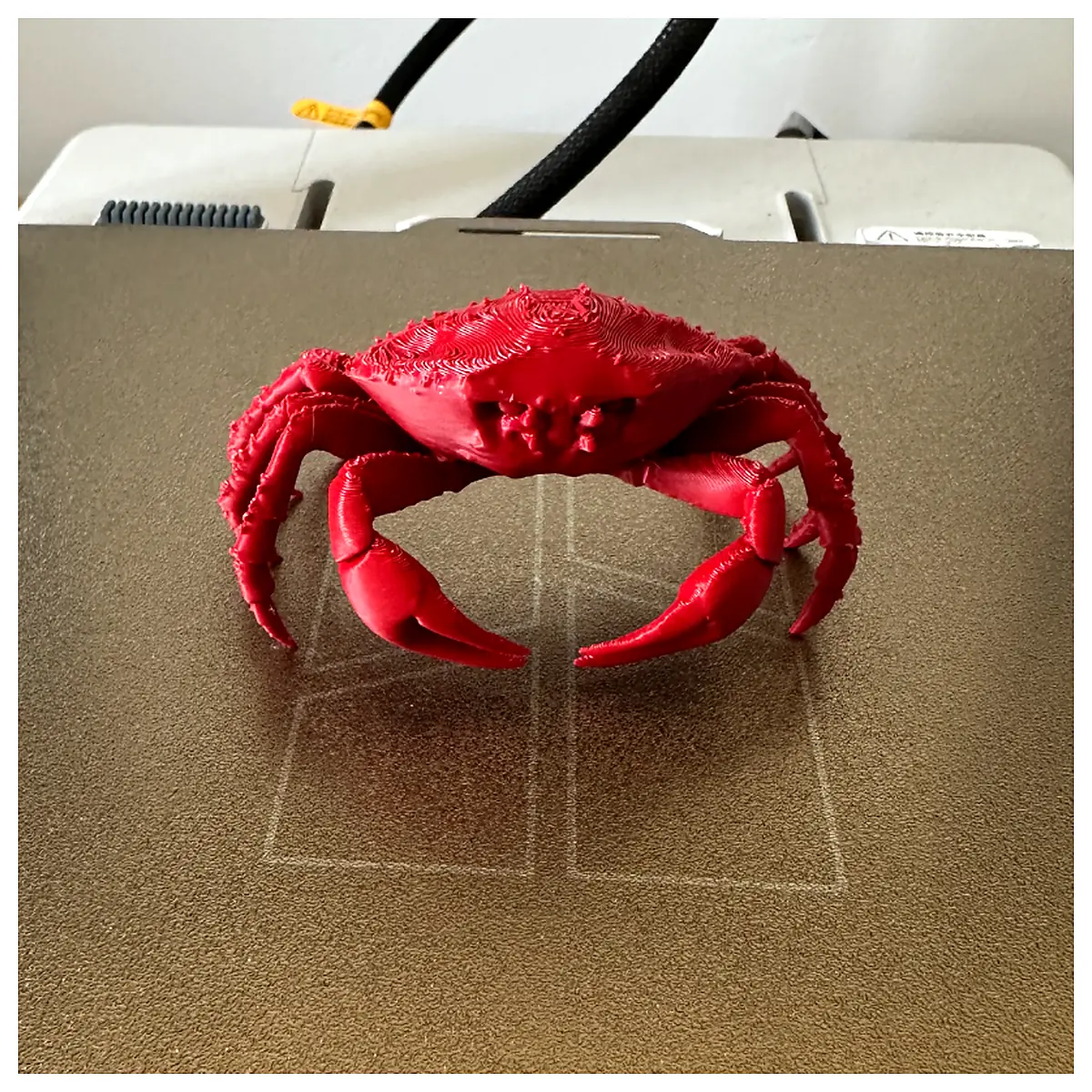 King Crab Claws Wholesale Crab Meat Crab Shell Cleaning Crab Dishes Crab Feast Crab Deals