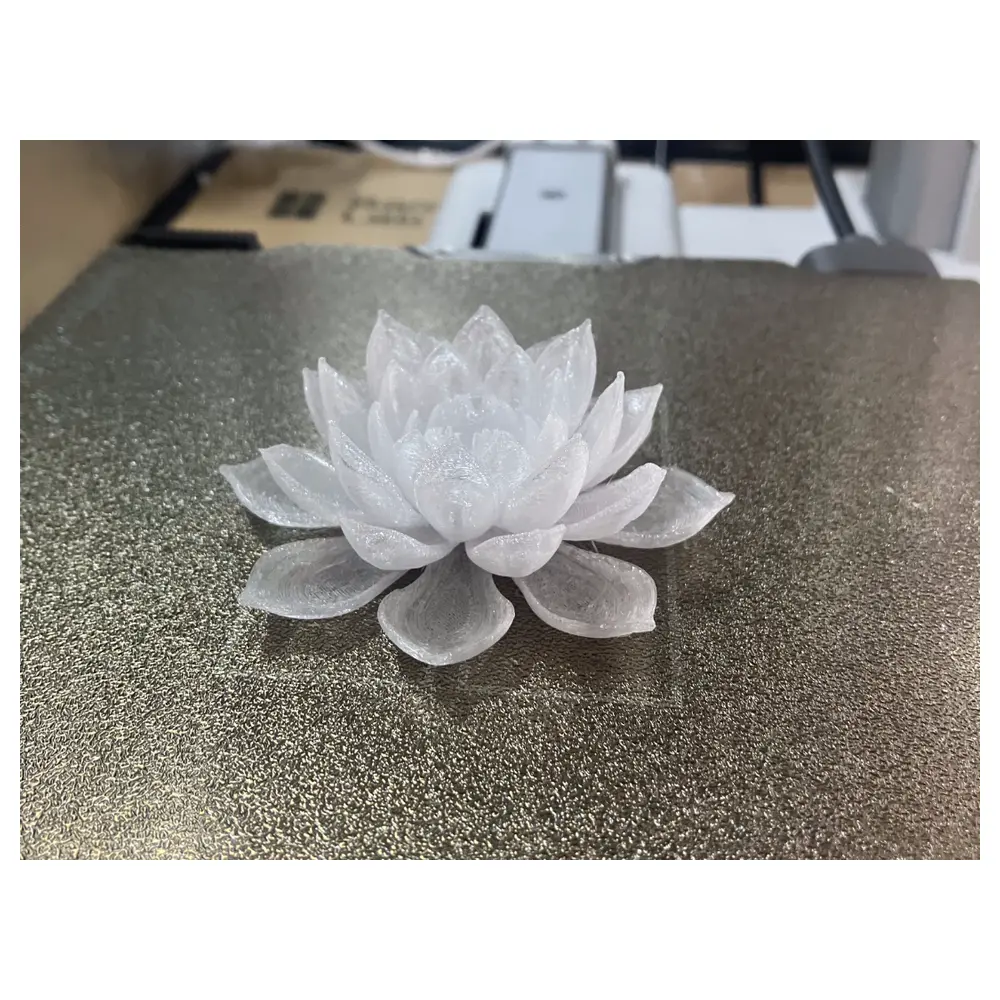 Water Lily Cultivation Planting Care Tips Water Lily Flowers Sale Water Lily Leaves Water Lily Pots Sale Water Lily Decor