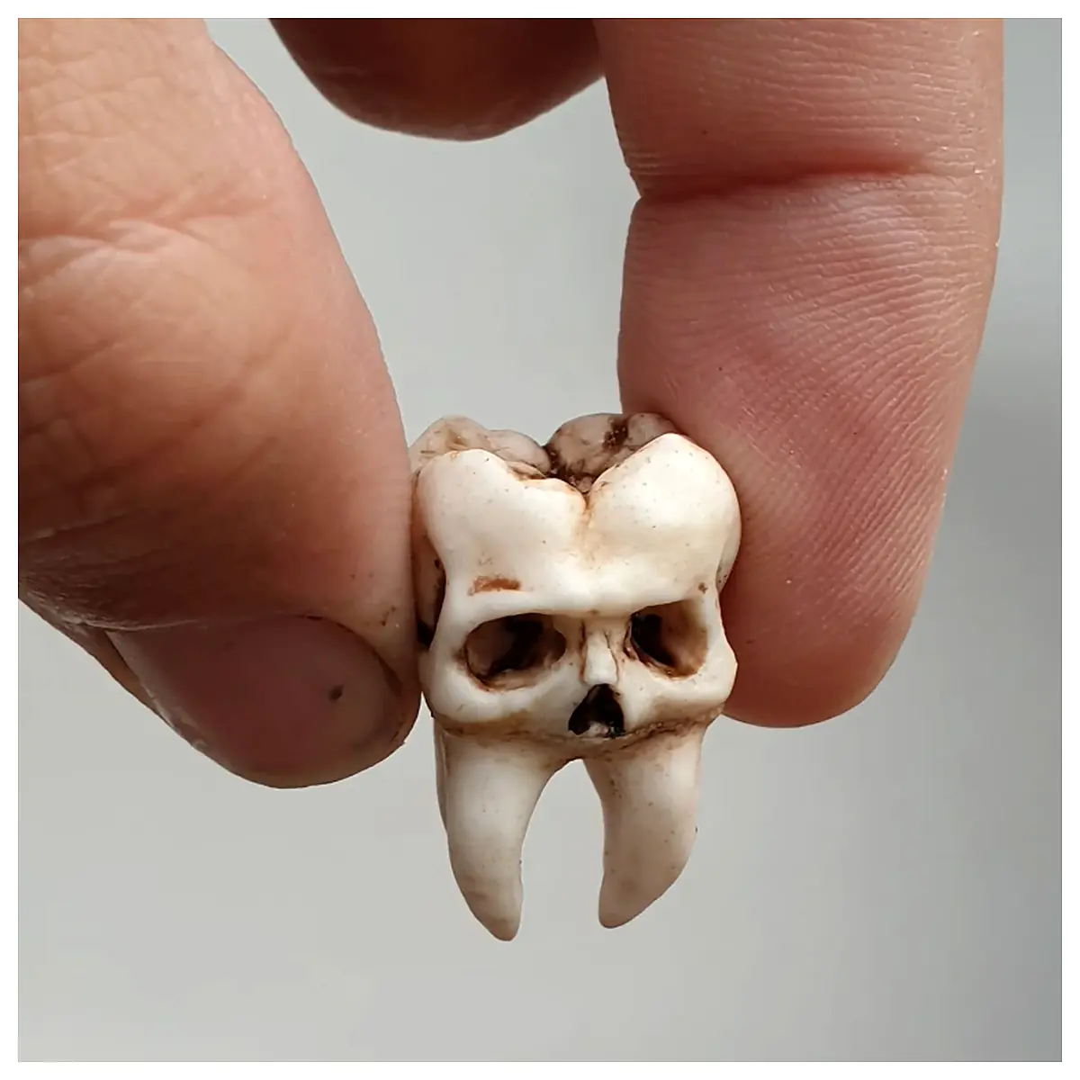 3D Printed Tooth Keychain Cute Molar Realistic Tooth Model Dental Parts Repair Replacement