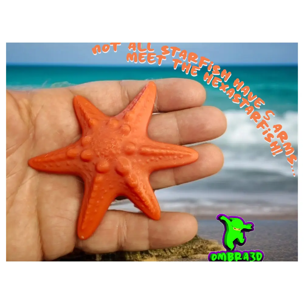 6 Arms Starfish Shell Decor Seashell Home Decor Shell Ornament Decor Ocean Decor Shells Decorative Accent 6 Arms Starfish Shell Decor