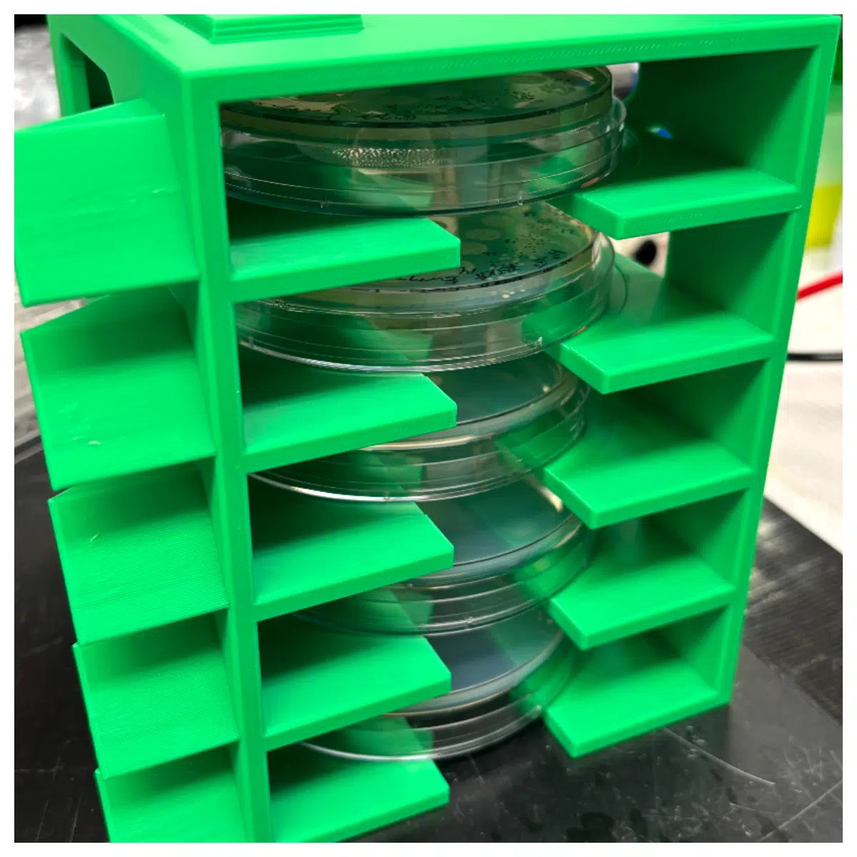 Stackable Petri Dish Rack With Without Labels Lab Supplies Cell Culture Microbiology Plate Organizer