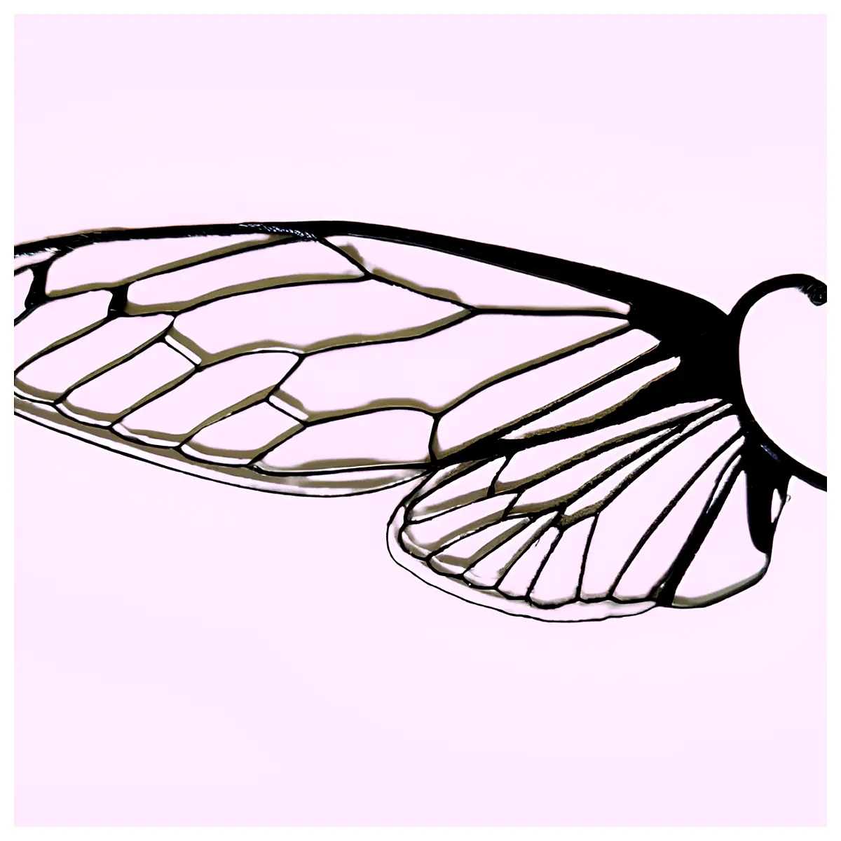 Ear Cuff Jewelry Elegant Simple Cute Ear Decoration Fashion Trend Accessories Wholesale Retail