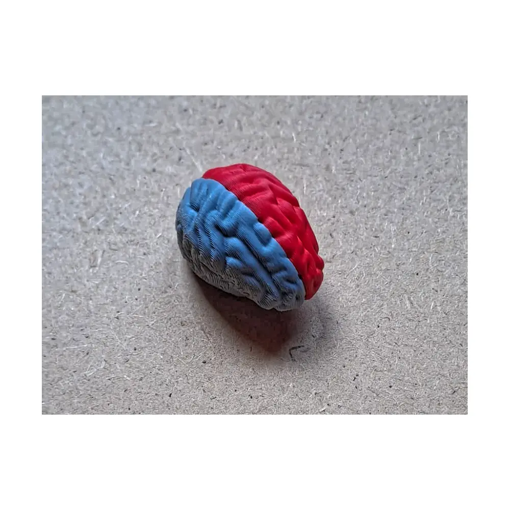 Brain Repair Parts Universal Replacement Brain Parts Repair Service Brain Health Check