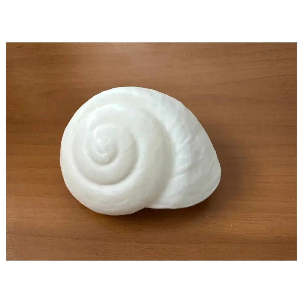Seashell Spiral Decor Creative Home Decoration Art Spiral Shape Variety s Decoration Accessories