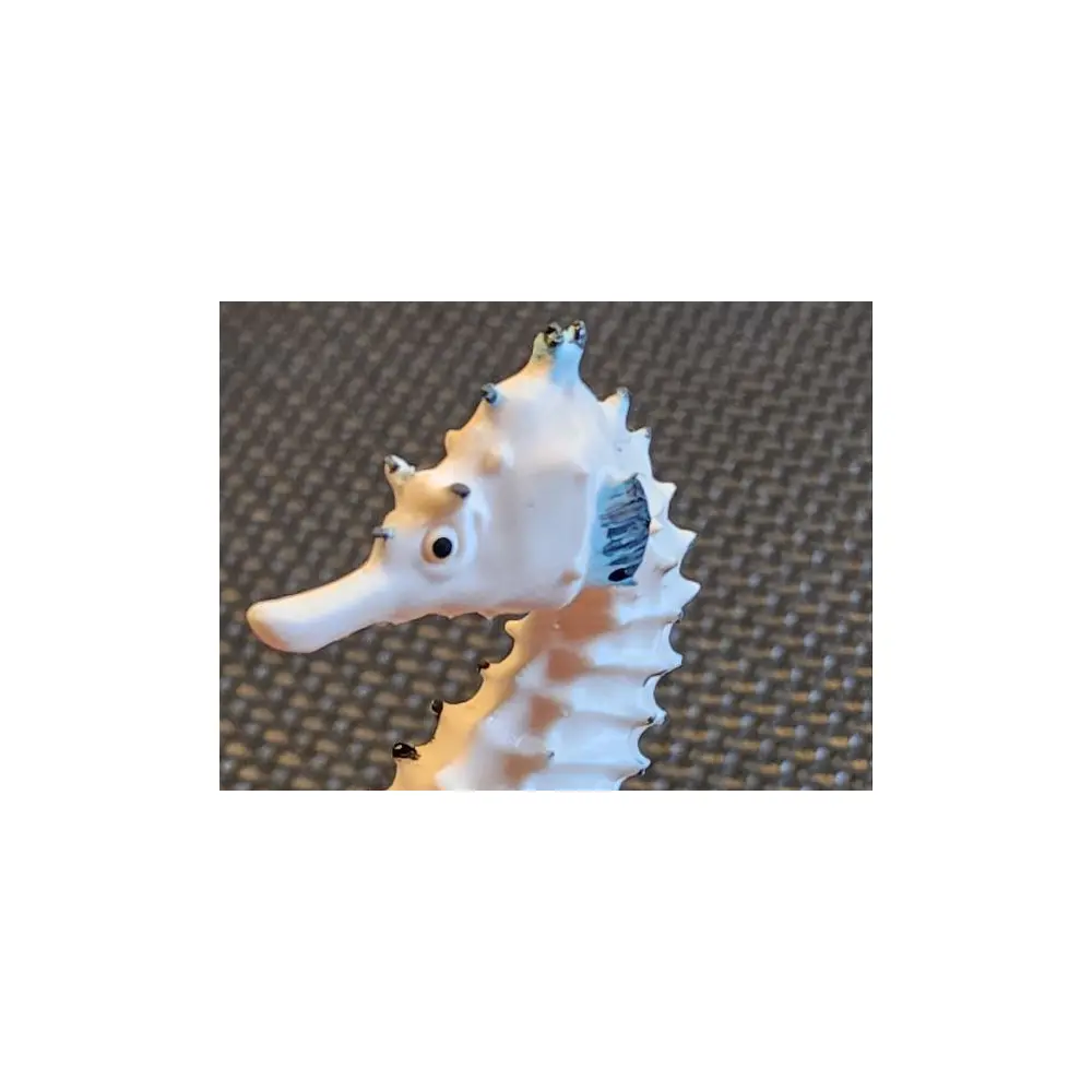 Seahorse Universal Repair Parts Replacement Parts Service Car Parts Car Repair Car Maintenance