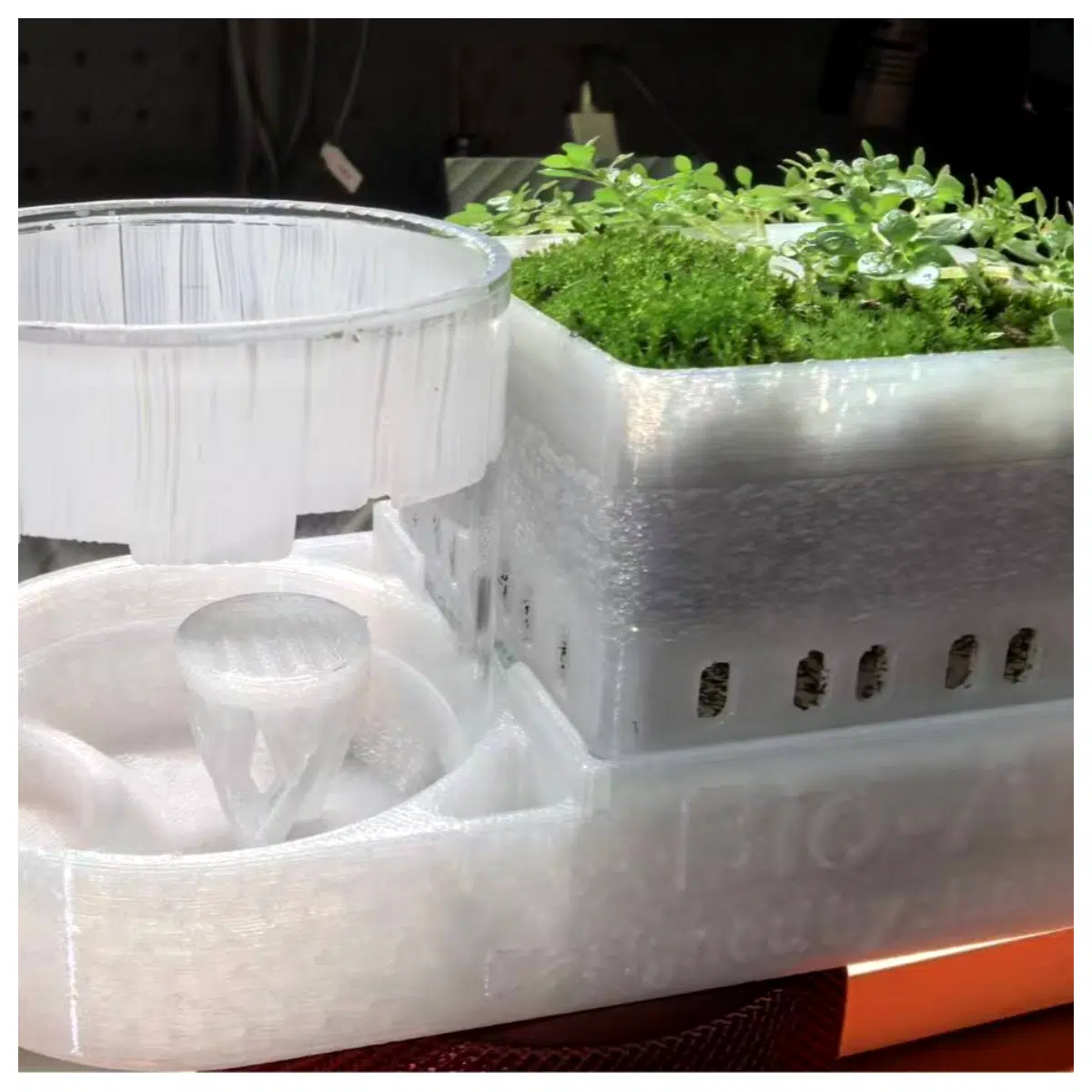 Mini Ant Farm Kit Ant Breeding Box Larva Observation Tank Insect Growing Set Ant Experiment Box Kids Toy