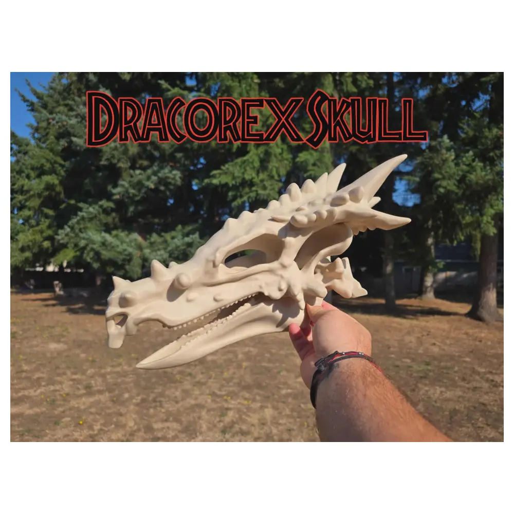 Dinosaur Skull Bone Display Excavation Collection Research Skeleton Model Dracorex Skull