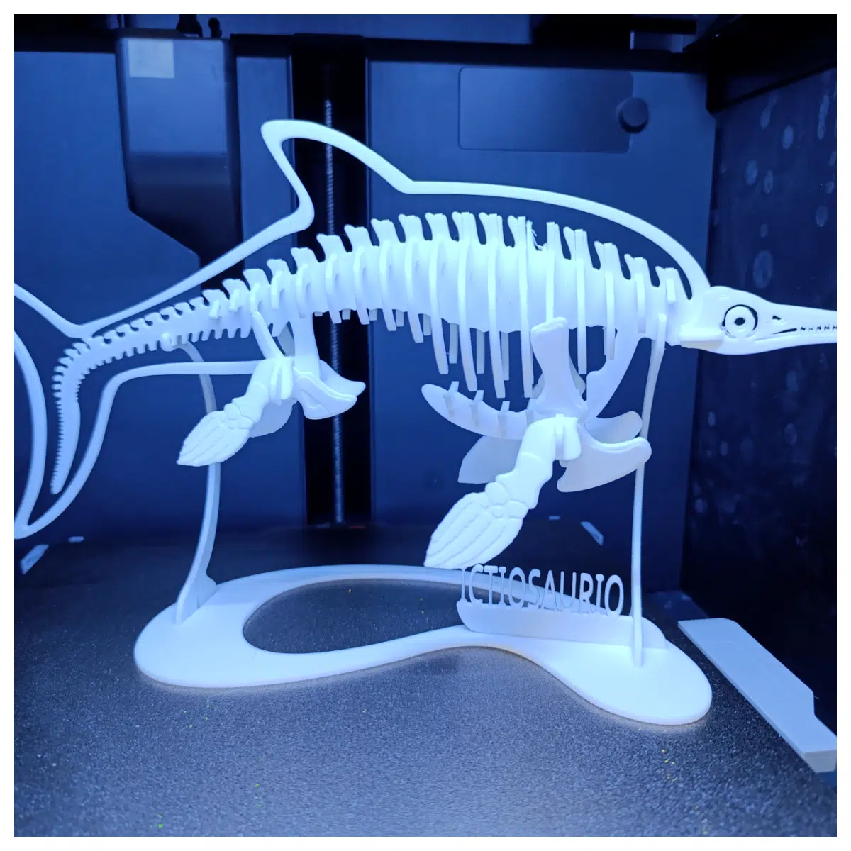Ichthyosaur Skeleton Fossil Replica Paleontology Jurassic Bone Replica Collection Rare Dinosaur Bones