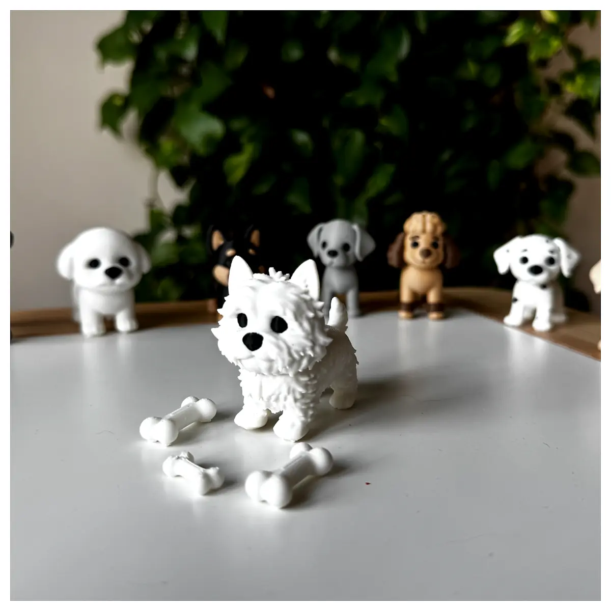 West Highland White Terrier Dog Supplies Training Toys Food Accessories Grooming