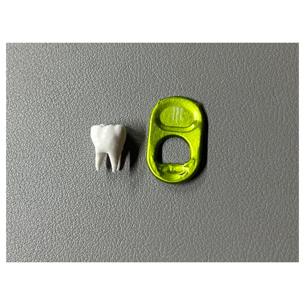 Dental Model Tooth Model Dental Training Teeth Practice Universal Dental Parts Repair Components Dental Accessories