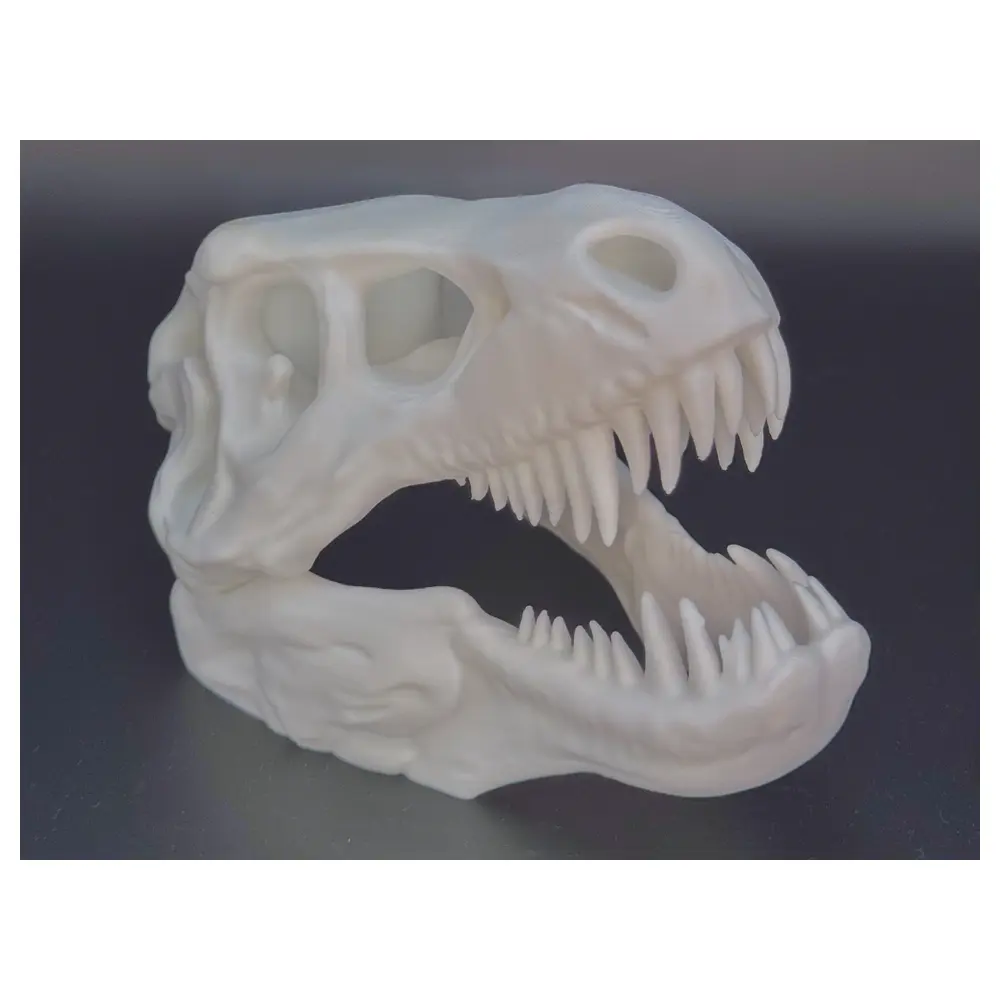T Rex Skull Dinosaur Model Collection Buy Parts Repair