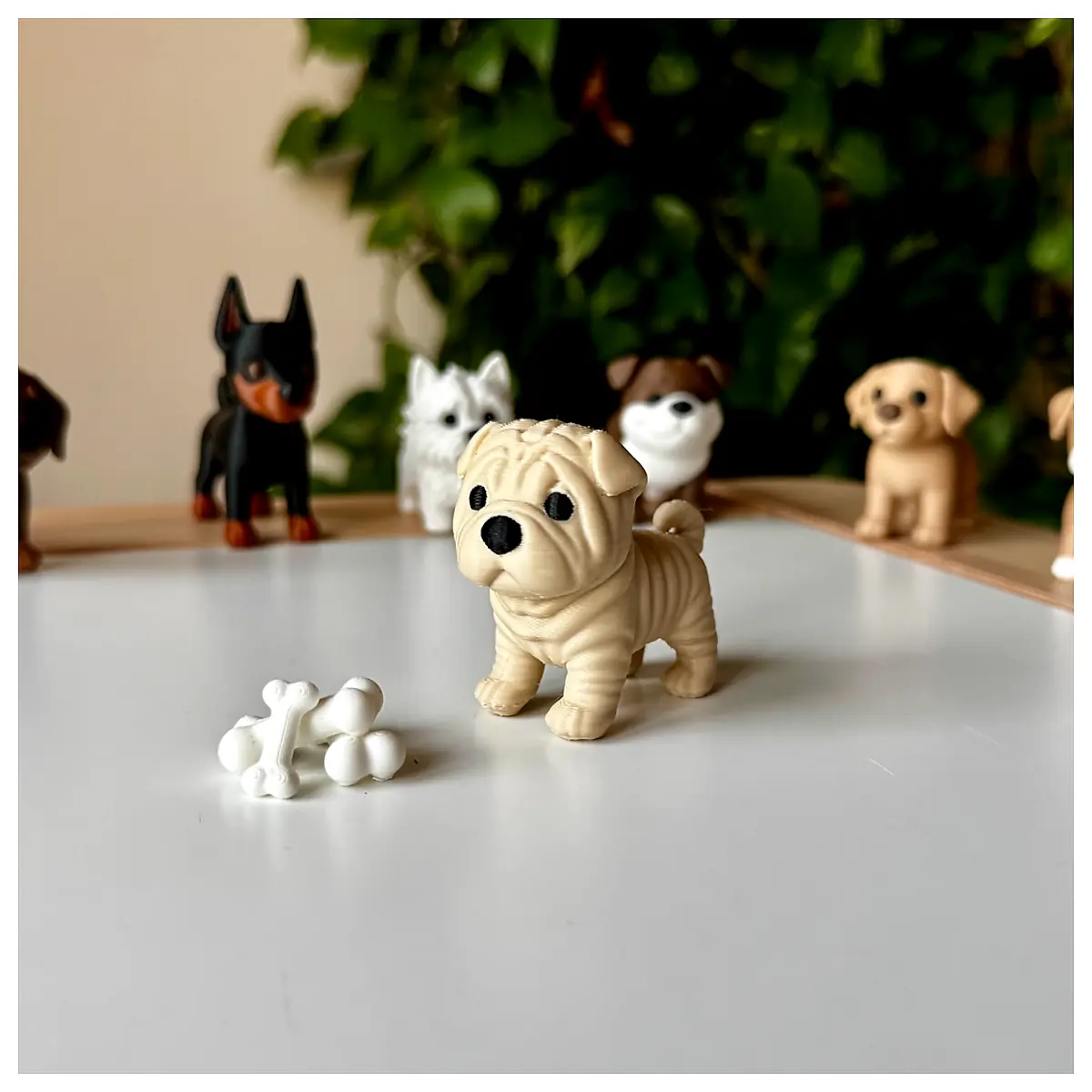 Shar Pei Dog Breed Puppy Training Grooming Supplies Pet Food Toys Veterinary Care Supplements