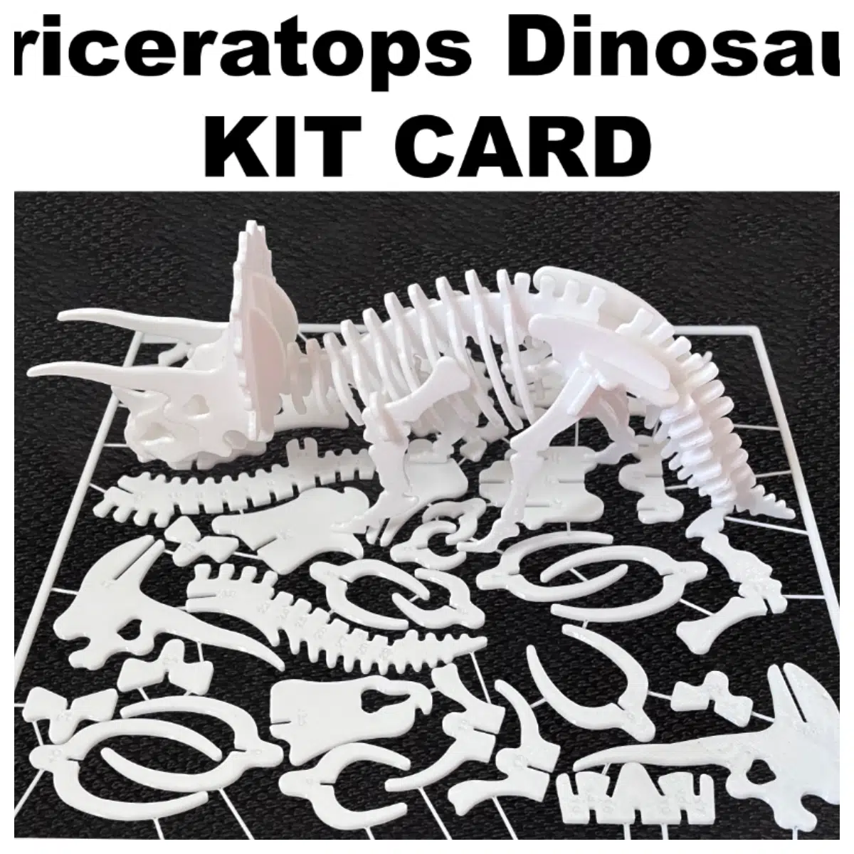 Dinosaur Model Kit Card Assembly Guide Jurassic Park Dinosaur Toys Build Prehistoric Figures