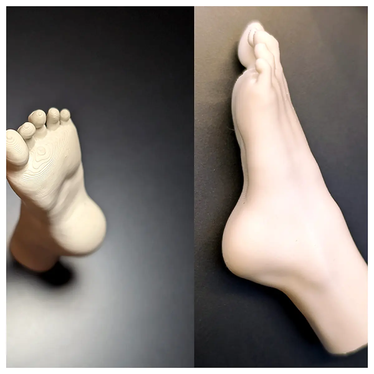 Realistic Female Foot Model Photography Props Realistic Human Foot Photography Accessories Art Creation