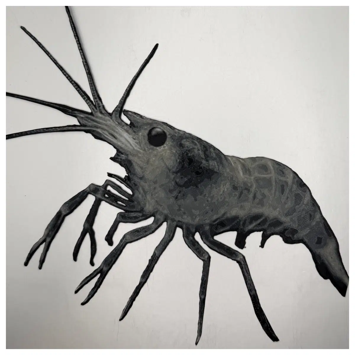 Ghost Shrimp Hueforge Cutout Prank Funny Aquarium Decoration Shrimp Accessories Photo Booth Props Aquatic Novelty Shrimp Kit Stage Effects
