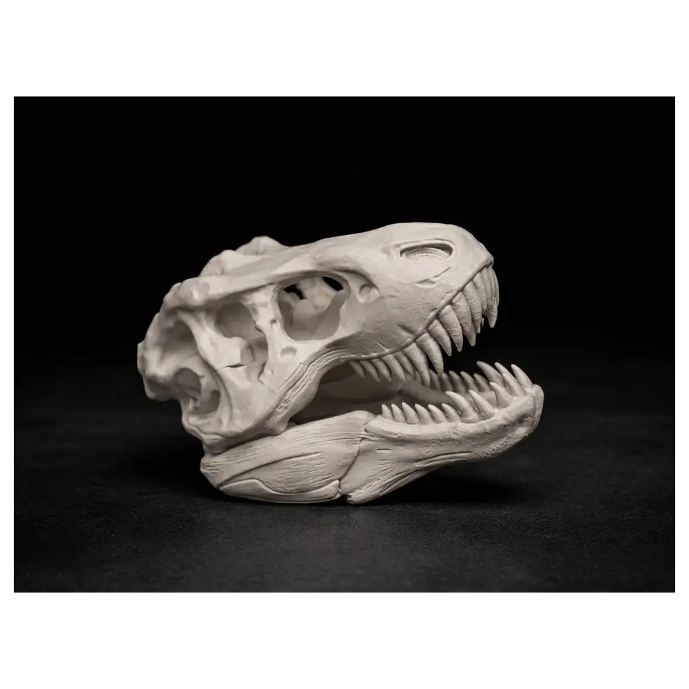 T Rex Skull Dinosaur Model Realistic Display Decor Collectible Gift