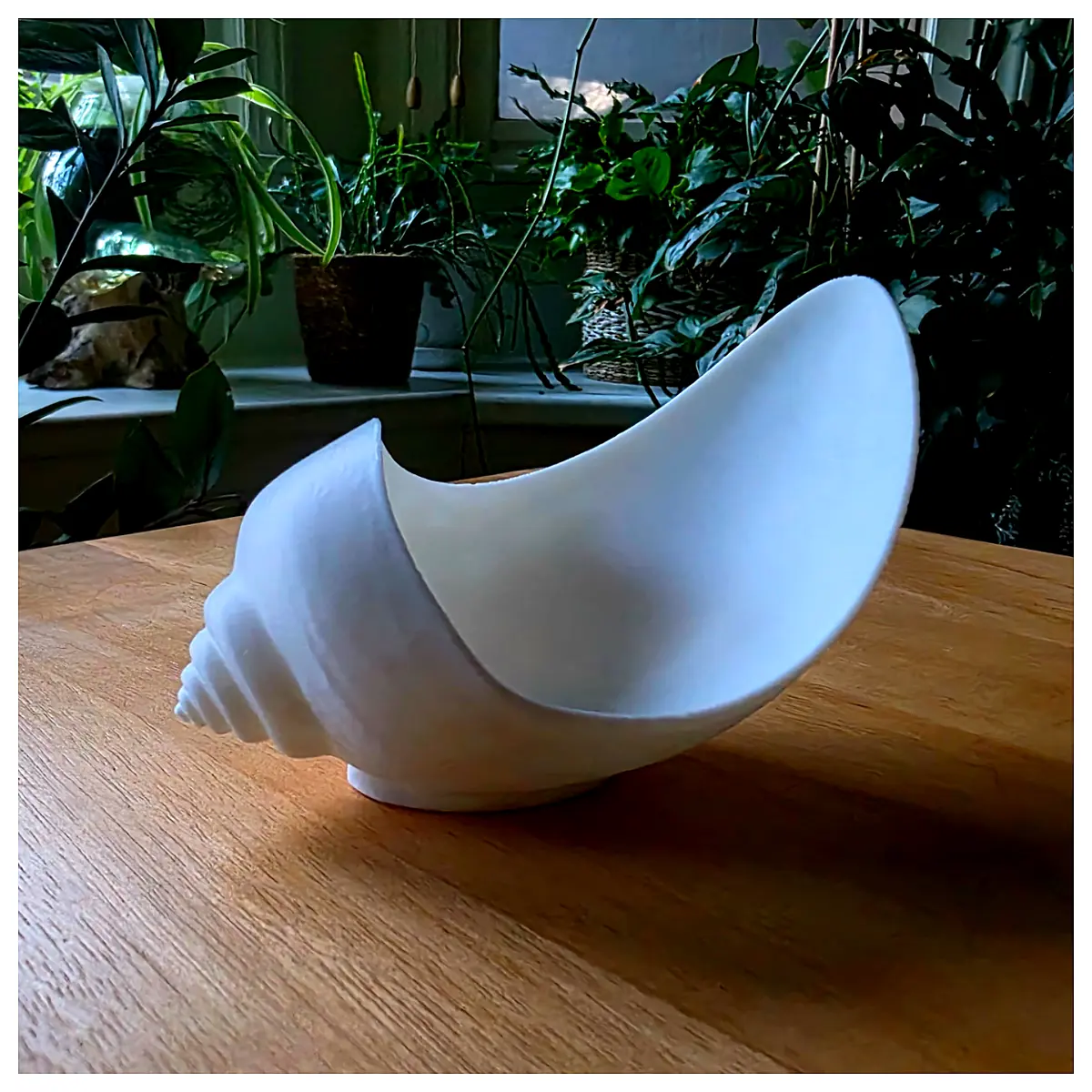 Seashell Bowl Catch All Collection Universal Decor Kitchen Dining Shell Accessories