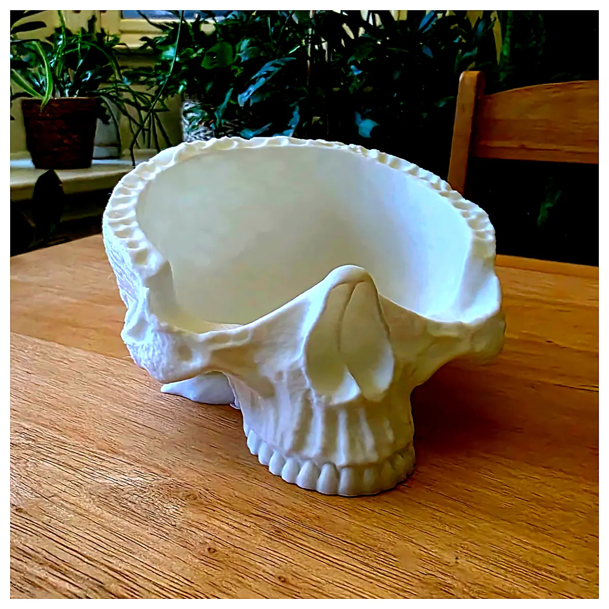 Skull Catch Bowl Collection Bowl Decorative Bowl Universal Bowl Bone Collection Parts Repair