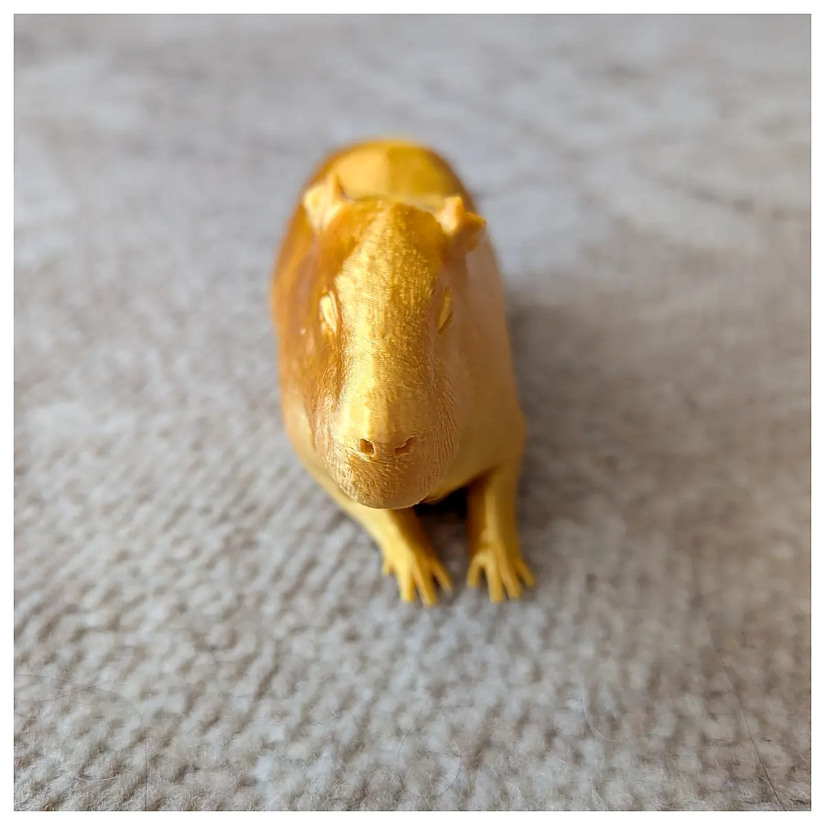 Capybara Capybara Parts Capybara Repair Capybara Care Capybara Lifestyle Capybara Toys