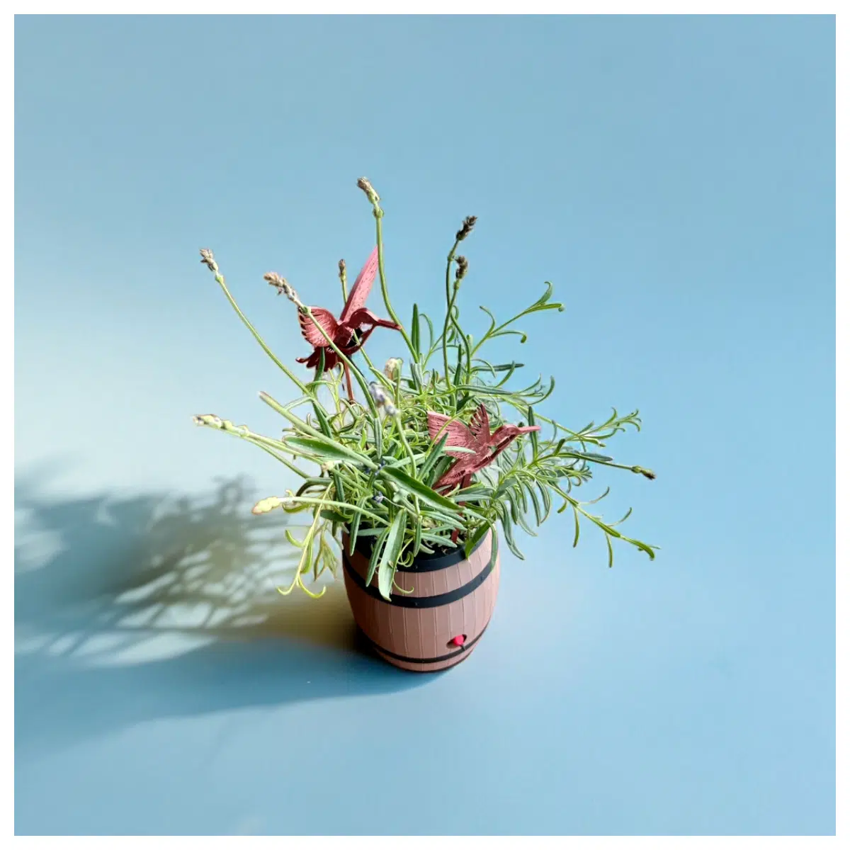 Bird Decor Hummingbird Garden Planter Ornament Succulents Viewing Bird Watching Accessories
