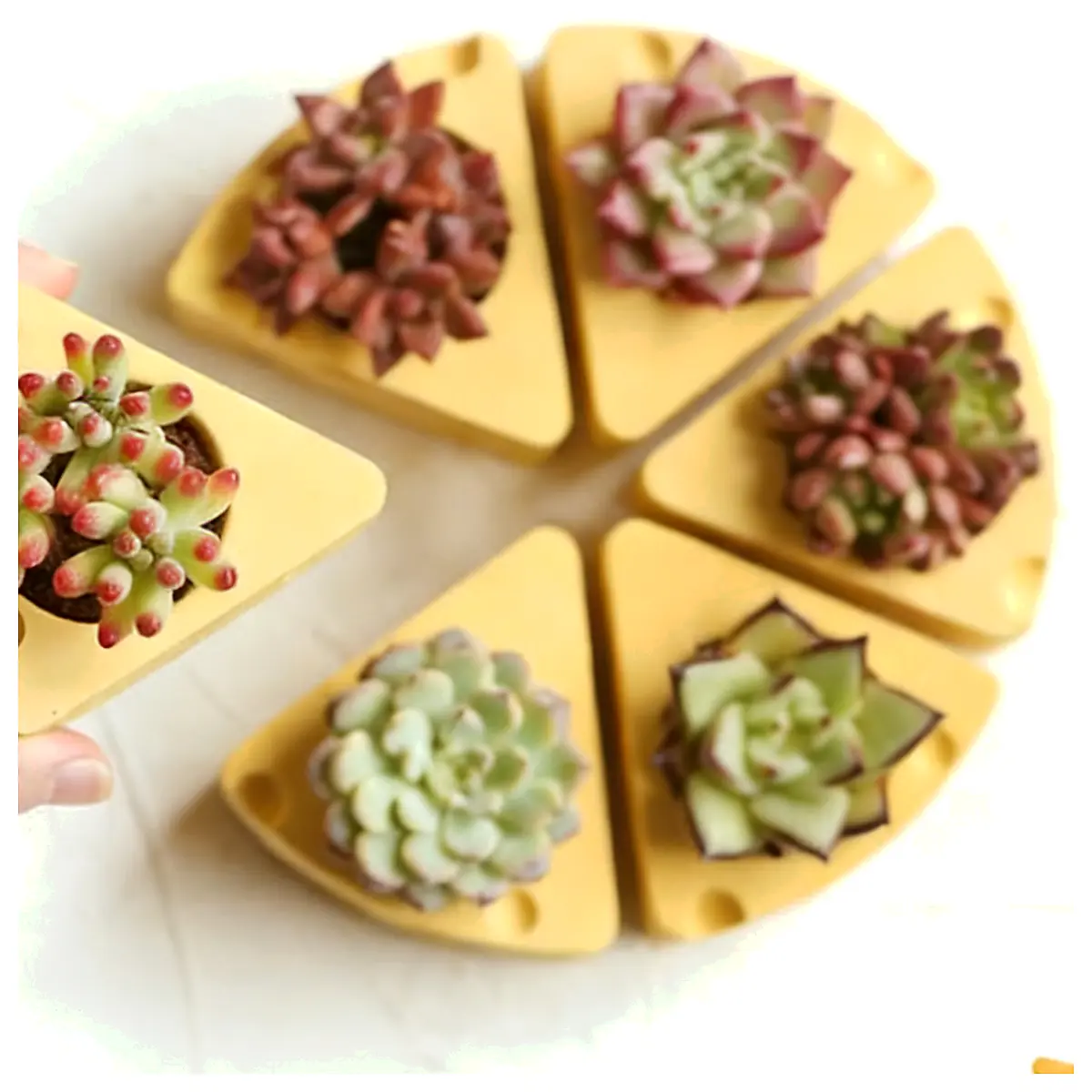 Cheese Pot Plant Holder Decorative Flower Pot Ceramic Container Succulent Planter Garden Decor