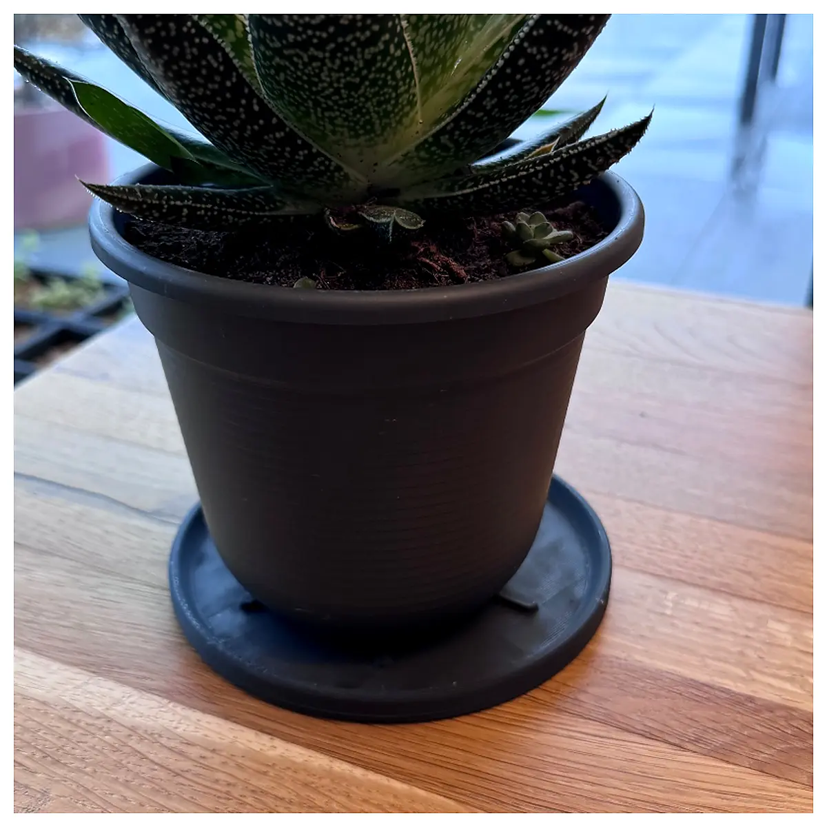 Flower Pot Tray Drip Tray Plant Tray Water Tray Spill Tray Plant Accessories Watering Tray