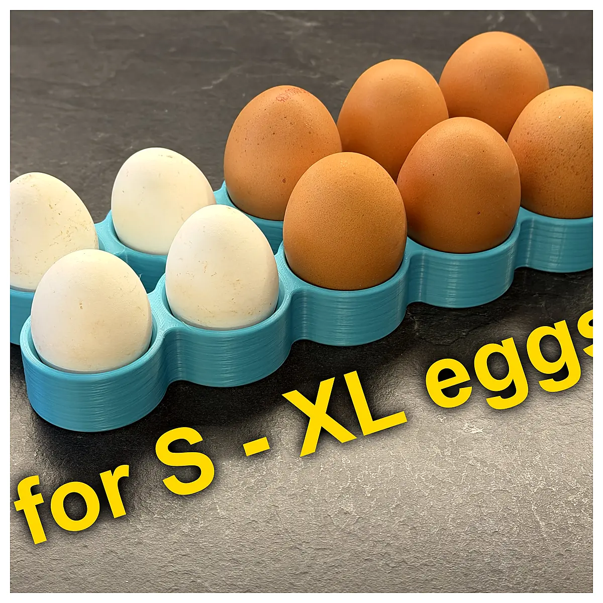 Egg Holder Universal Keep Fresh Breakage Easy Use S XL Parts Repair