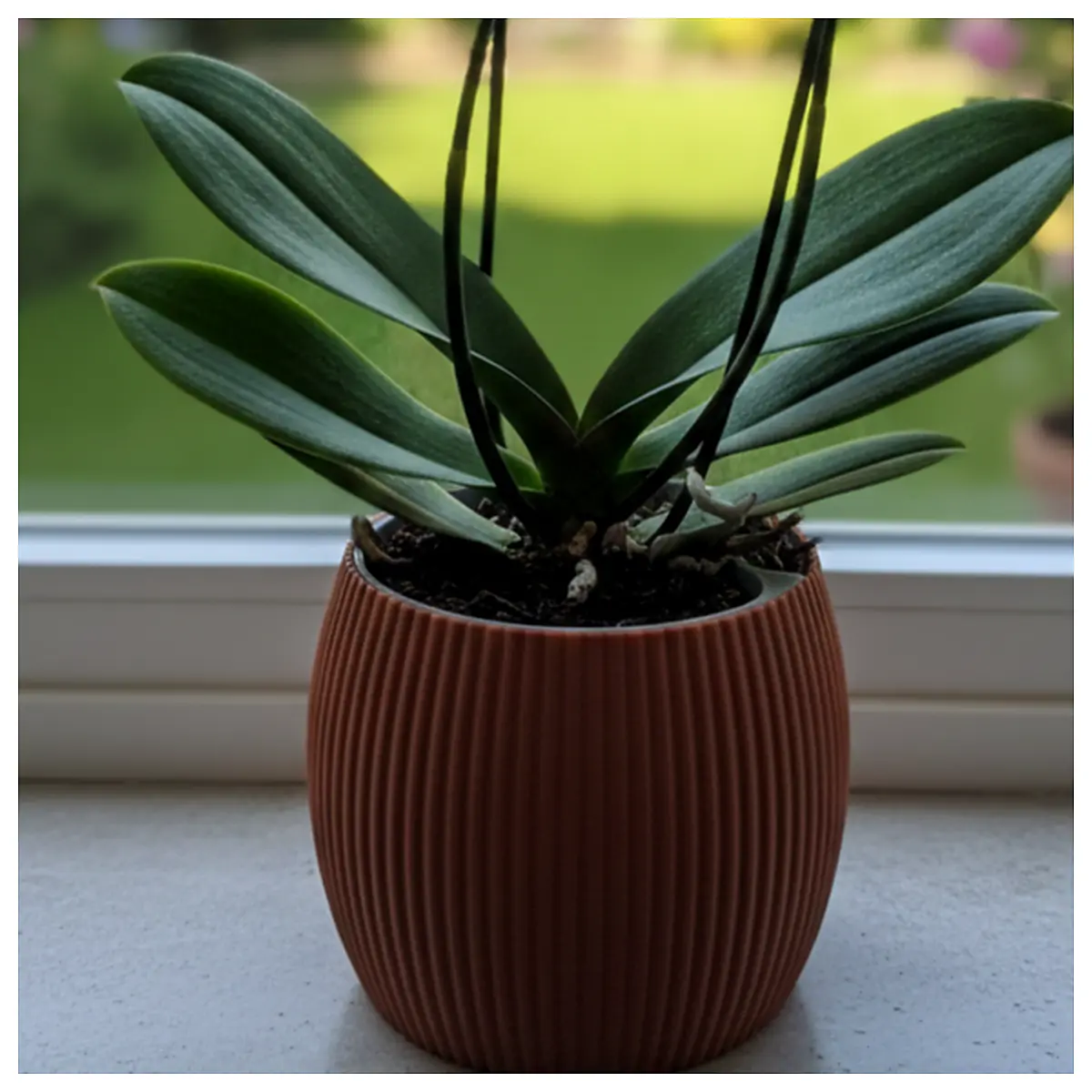 Self Watering Vase Ribbed Vase Automatic Watering Plant Pot Indoor Garden Decorative Vase Flower Container