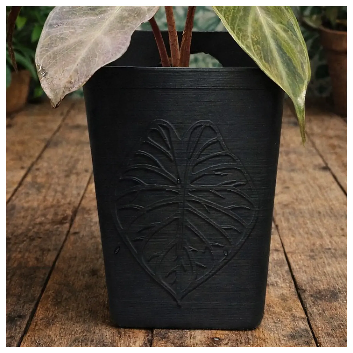 Self Watering Systems Planters Irrigation Watering System Plant Nutrition Gardening Tools Pruning