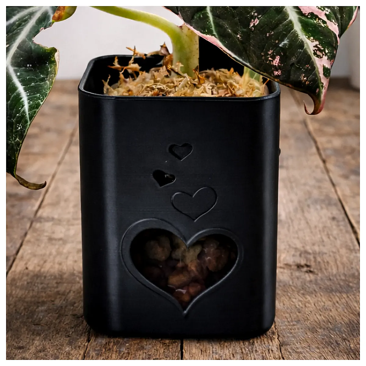 Self Watering Planters System Automatic Watering System Indoor Plants Greenery Succulents Plant Pots Watering System