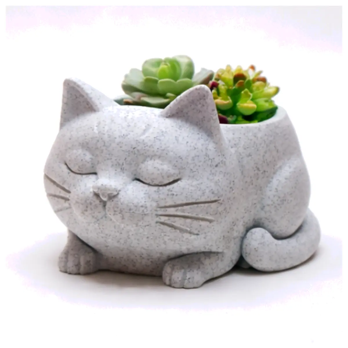 Dreaming Cat Oasis Planter Succulents Planter Indoor Plants Decorative Planters Home Decor Gardening Supplies
